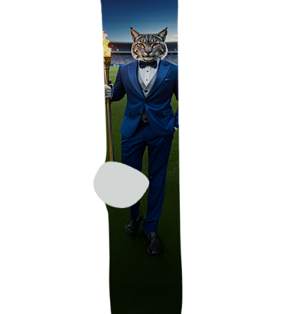 Mesquite High School Socks