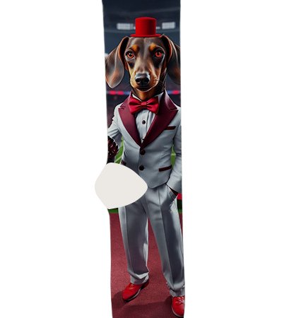 university-of-oklahoma-socks