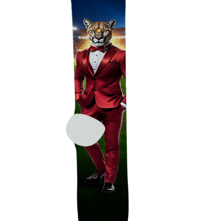 Perry High School Socks