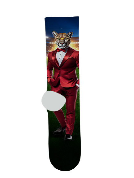 Perry High School Socks