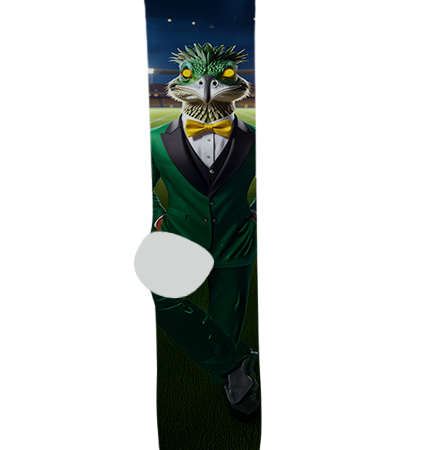 San Tan Charter School Socks