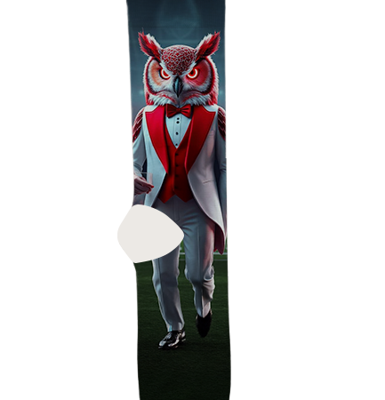 Temple University Socks