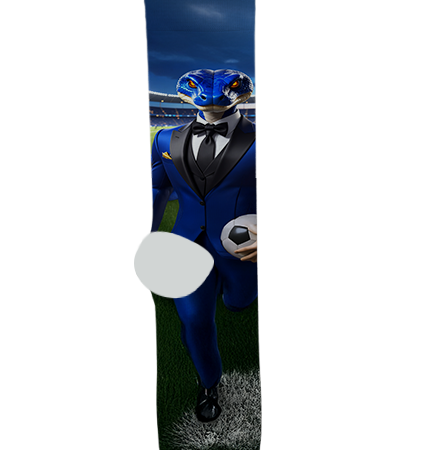 Cactus High School Socks