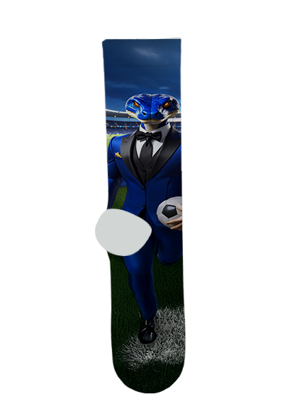 Cactus High School Socks