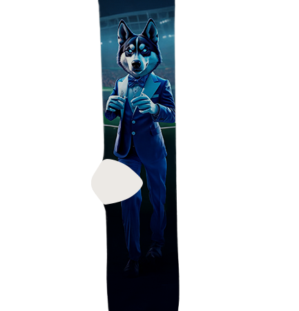 university-of-connecticut-socks