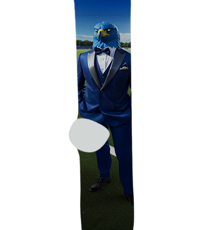 Deer Valley High School Socks