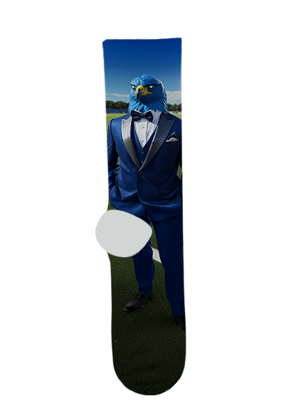 Deer Valley High School Socks