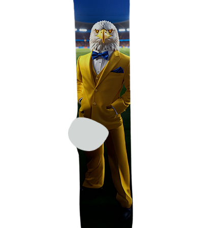 Dream City Christian School Socks