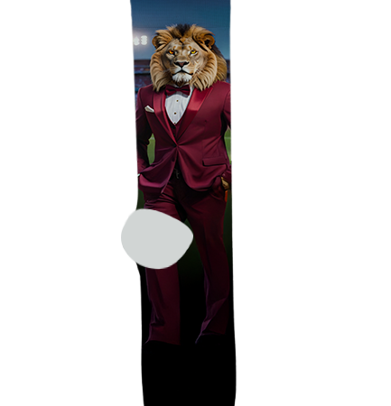 Mountain Ridge High School Socks