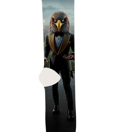 the-university-of-southern-mississippi-socks