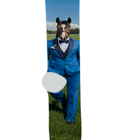 Betty H. Fairfax High School Socks