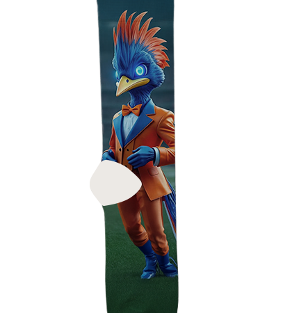 the-university-of-texas-at-san-antonio-socks