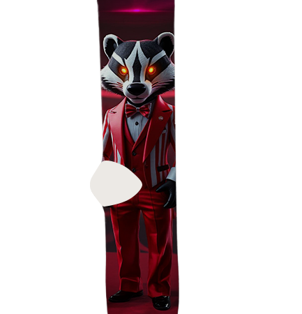 university-of-wisconsin-madison-socks