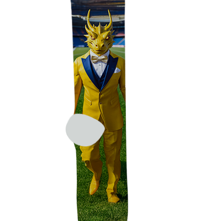 Sun Valley High School Socks