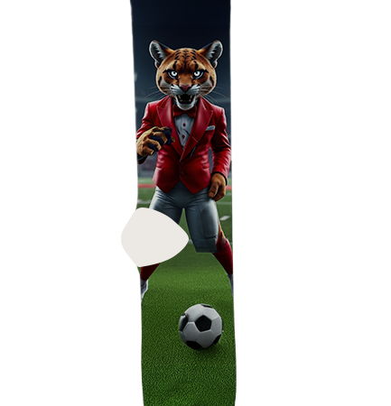 washington-state-university-socks