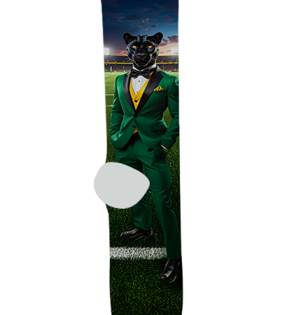 Peoria High School Socks