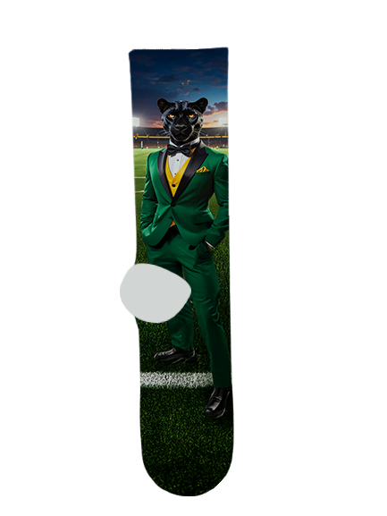 Peoria High School Socks