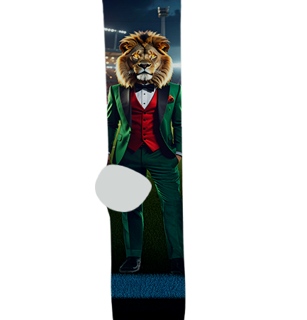 Alhambra High School Socks