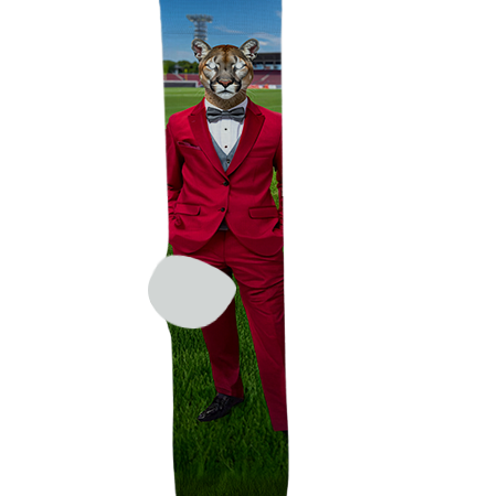 Bisbee High School Socks