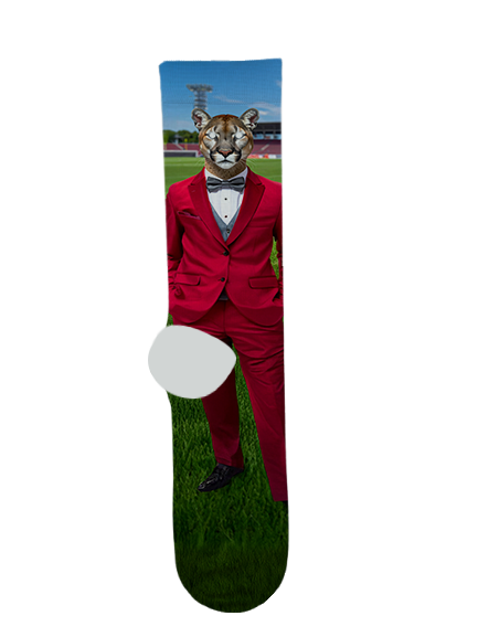 Bisbee High School Socks