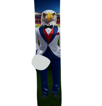 Franklin Police & Fire High School Socks