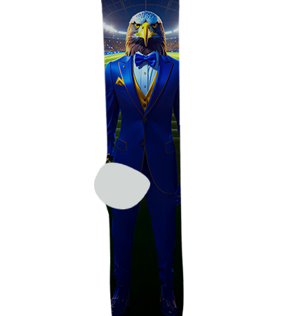 Bourgade Catholic High School Socks