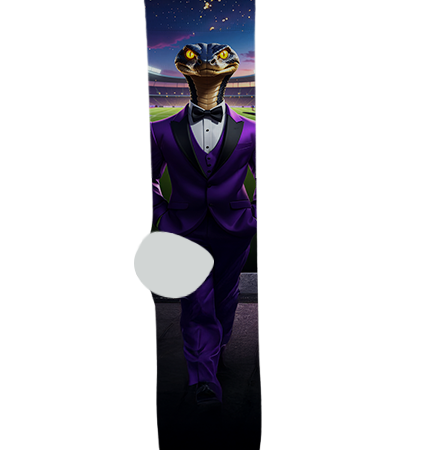 North Canyon High School Socks