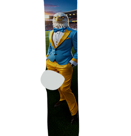 Sandra Day O'Connor High School Socks