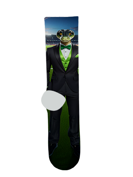 Pan-American Charter School Socks