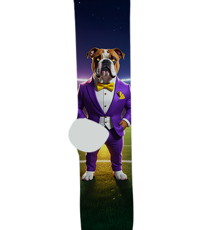 Queen Creek High School Socks