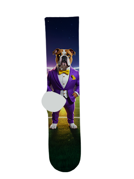 Queen Creek High School Socks