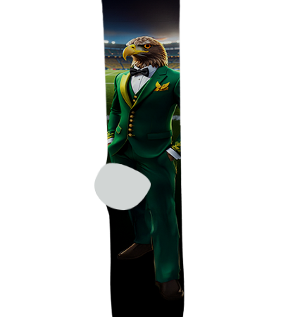 Salt River High School Socks