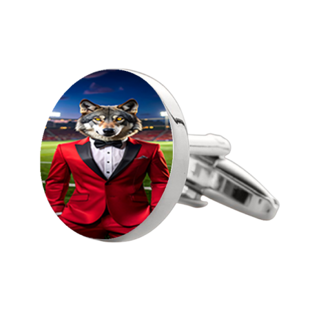 Imagine Prep at Surprise