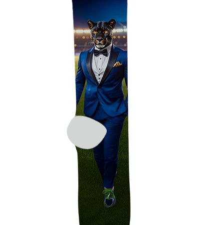 Paradise Honors High School Socks