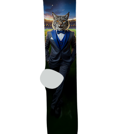 Willow Canyon High School Socks