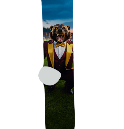 Tolleson Union High School Socks