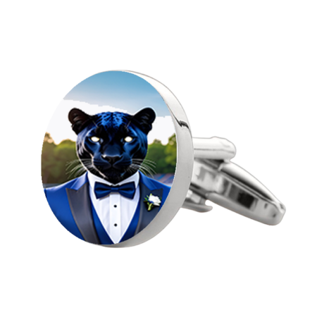 Paradise Valley Christian Preparatory Socks