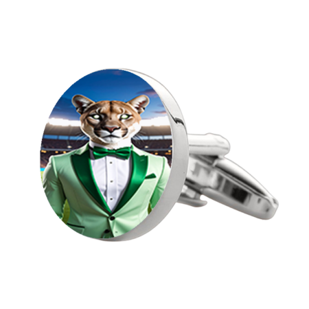 Phoenix Christian Junior/Senior High School Cufflinks