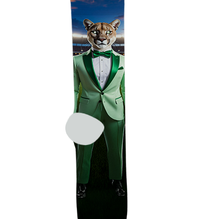 Phoenix Christian Junior/Senior High School Socks