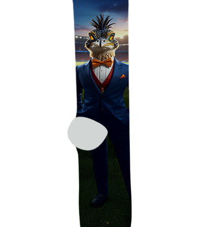 Holbrook High School Socks