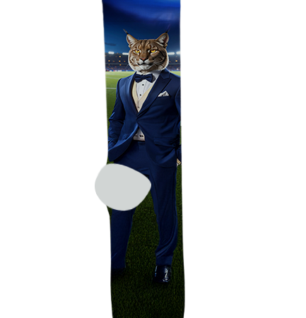 Joseph City Junior/Senior High School Socks