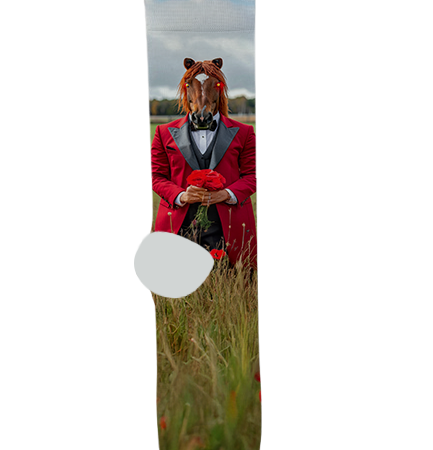 Mogollon High School Socks