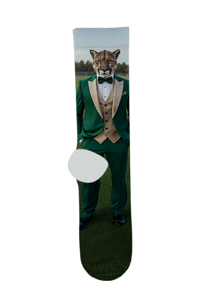 Show Low High School Socks