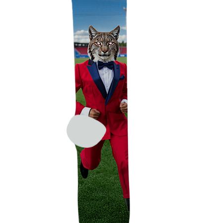 Benson High School Socks