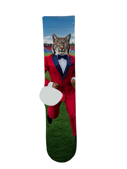 Benson High School Socks