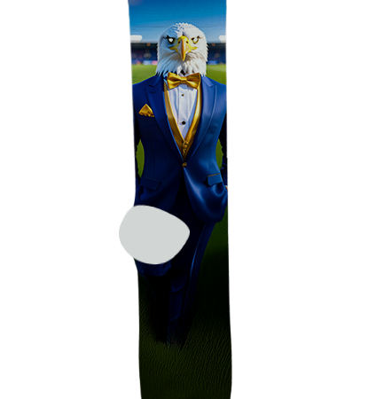 Phoenix Country Day School Socks