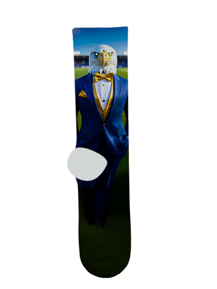 Phoenix Country Day School Socks