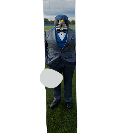 Catalina Foothills High School Socks