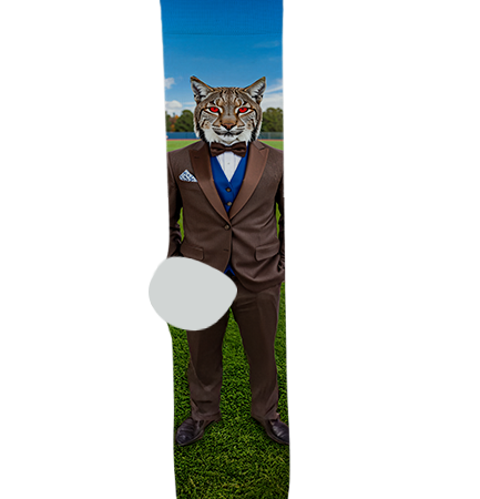 Cienega High School Socks