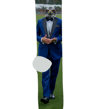 Ironwood Ridge High School Socks